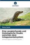 Eine vergleichende und histologische Studie zwischen dem Integumentalsystem