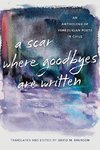 Scar Where Goodbyes Are Written