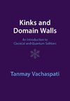 Kinks and Domain Walls