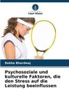 Psychosoziale und kulturelle Faktoren, die den Stress auf die Leistung beeinflussen