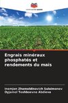 Engrais minéraux phosphatés et rendements du maïs