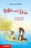 Billie & Stüx. Ein Pony fällt vom Himmel