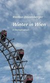 Winter in Wien