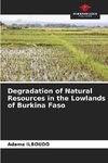 Degradation of Natural Resources in the Lowlands of Burkina Faso