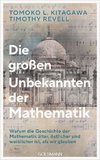 Die großen Unbekannten der Mathematik