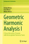 Geometric Harmonic Analysis I