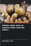 Effetto della data di semina sulla resa dei tuberi