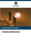 Gasfackelkamine