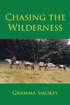 Chasing the Wilderness