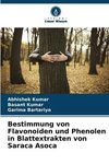 Bestimmung von Flavonoiden und Phenolen in Blattextrakten von Saraca Asoca