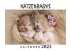 Katzenbabys