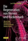 Die Regeneration von Nerven und Rückenmark