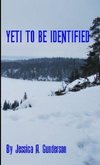 Yeti to be Identified