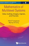 Mathematics of Multilevel Systems