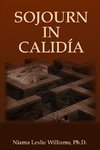 SOJOURN IN CALIDIA