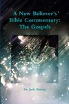 A New Believer's Bible Commentary