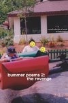 bummer poems 2