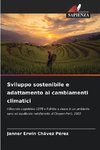 Sviluppo sostenibile e adattamento ai cambiamenti climatici