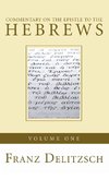 Commentary on the Epistle to the Hebrews, Volume 1