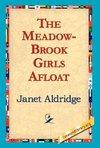 The Meadow-Brook Girls Afloat