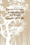 A PROMISED FUTURE the sequel to WHY ME