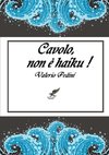 Cavolo, non è haiku !