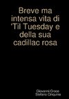 Breve ma intensa vita di Til Tuesday e della sua cadillac rosa...