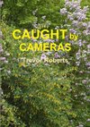 Caught By Cameras