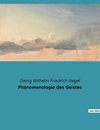 Phänomenologie des Geistes