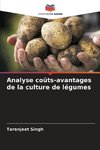 Analyse coûts-avantages de la culture de légumes