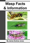 Wasp Facts & Information