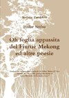 Htilar Sitthu. Oh foglia appassita del Fiume Mekong ed altre poesie.