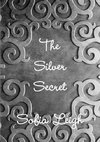 The Silver Secret