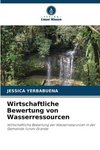 Wirtschaftliche Bewertung von Wasserressourcen