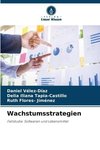 Wachstumsstrategien