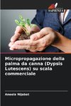 Micropropagazione della palma da canna (Dypsis Lutescens) su scala commerciale