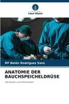 ANATOMIE DER BAUCHSPEICHELDRÜSE