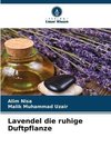 Lavendel die ruhige Duftpflanze