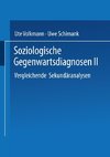 Soziologische Gegenwartsdiagnosen II