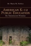 American K-12 Public Education