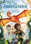 Der Zauberschüler (Band 3) - Im Schatten des roten Drachen