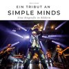 Ein Tribut an  Simple Minds