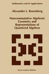 Noncommutative Algebraic Geometry and Representations of Quantized Algebras