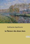 Le flaneur des deux rives