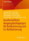 Gesellschaftliche Ausgangsbedingungen für Radikalisierung und Co-Radikalisierung