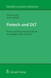 Fintech und DLT