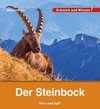 Der Steinbock