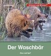 Der Waschbär