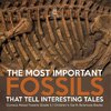 The Most Important Fossils That Tell Interesting Tales | Curious About Fossils Grade 5 | Children's Earth Sciences Books