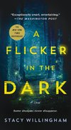 A Flicker In The Dark